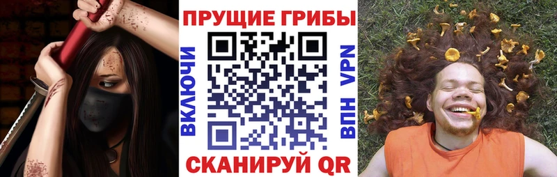 Псилоцибиновые грибы Cubensis  Купить где  Валдай 